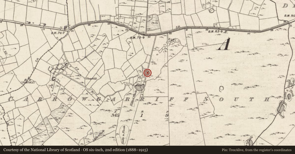 Ordnance Survey six-inch map, 2nd edition (1888–1915) covering the location of Ringfort - cashel, Carrowgarriff South, County Galway, with a pin at the register's coordinates