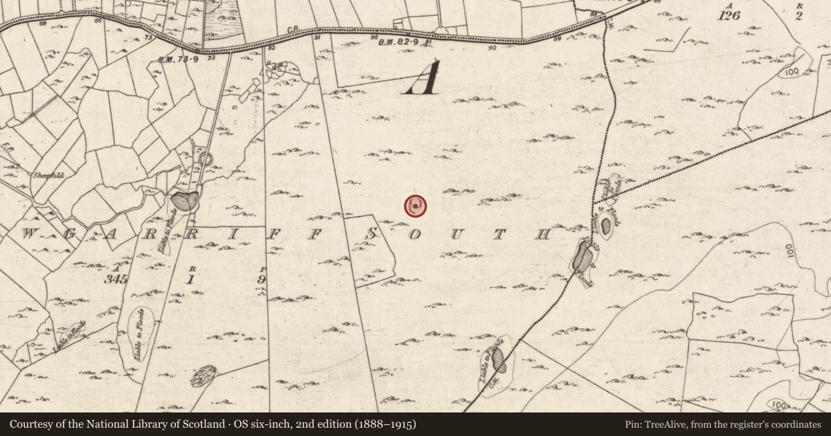 Ordnance Survey six-inch map, 2nd edition (1888–1915) covering the location of Ringfort - cashel, Carrowgarriff South, County Galway, with a pin at the register's coordinates