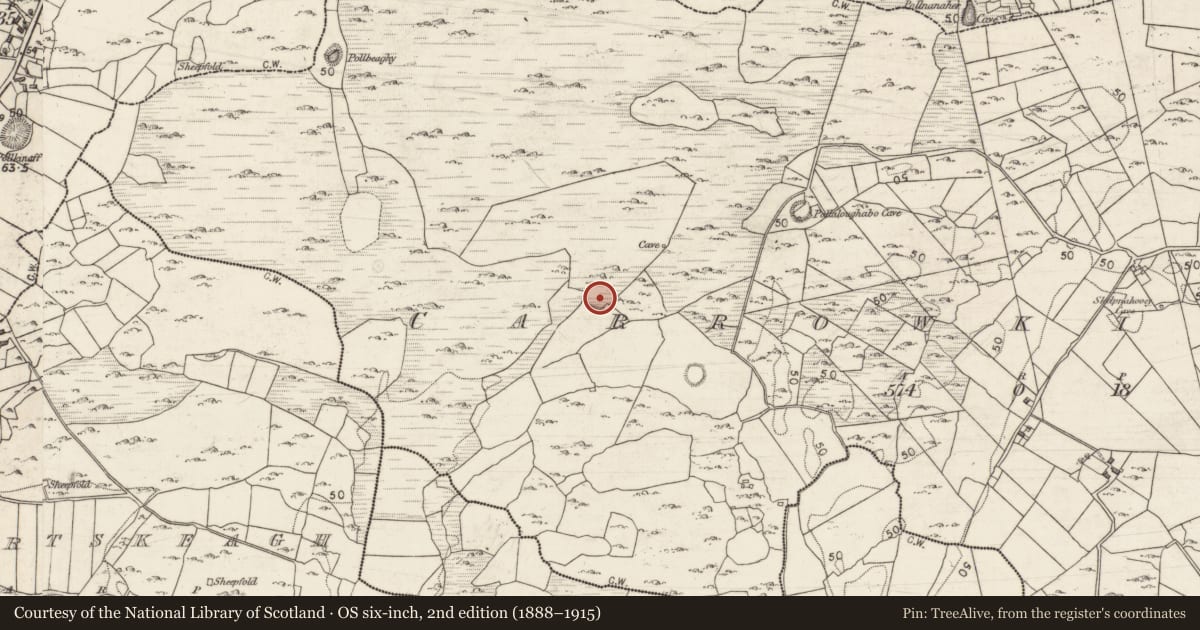 Ordnance Survey six-inch map, 2nd edition (1888–1915) covering the location of Ringfort - cashel, Carrowkilleen, County Galway, with a pin at the register's coordinates
