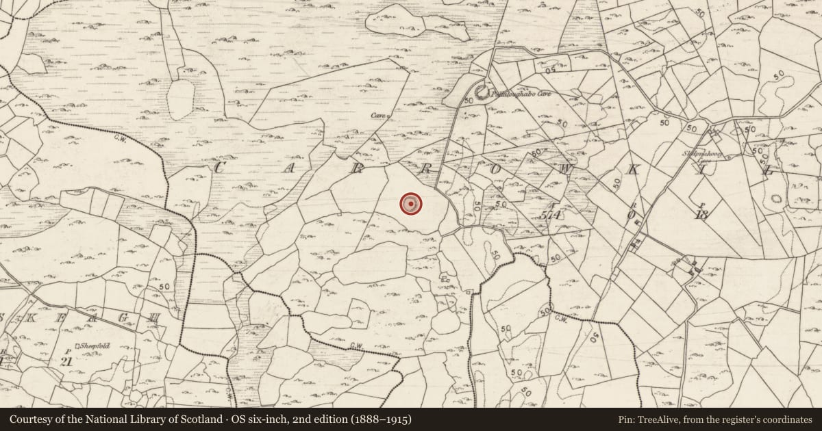 Ordnance Survey six-inch map, 2nd edition (1888–1915) covering the location of Ringfort - cashel, Carrowkilleen, County Galway, with a pin at the register's coordinates