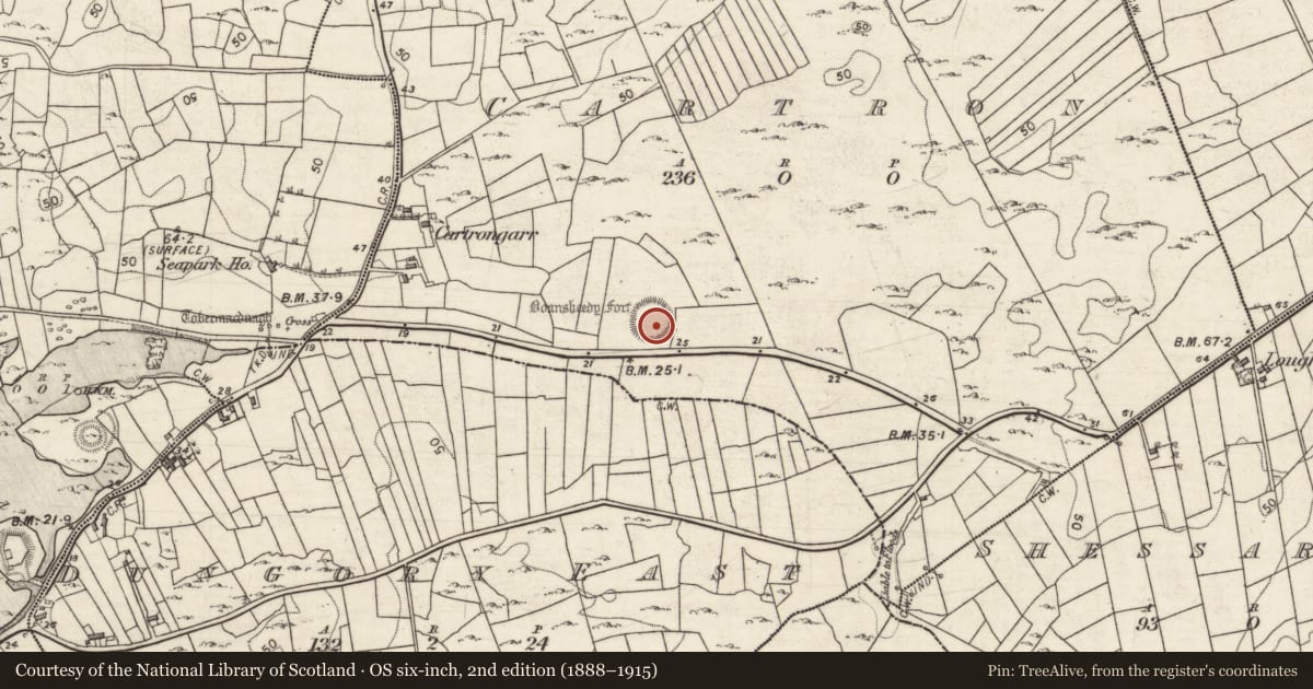 Ordnance Survey six-inch map, 2nd edition (1888–1915) covering the location of Ringfort - rath, Cartron, County Galway, with a pin at the register's coordinates
