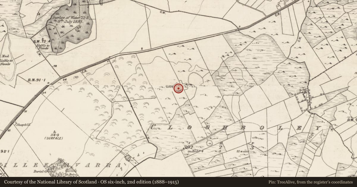 Ordnance Survey six-inch map, 2nd edition (1888–1915) covering the location of House - indeterminate date, Cloghboley, County Galway, with a pin at the register's coordinates
