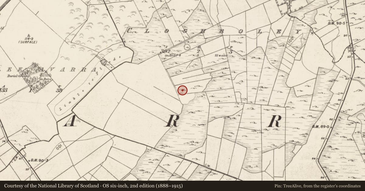 Ordnance Survey six-inch map, 2nd edition (1888–1915) covering the location of Ringfort - cashel, Cloghboley, County Galway, with a pin at the register's coordinates
