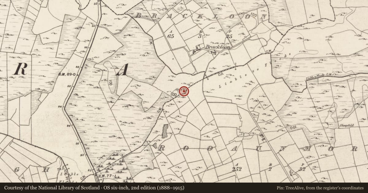 Ordnance Survey six-inch map, 2nd edition (1888–1915) covering the location of Souterrain, Cloghboley, Rooaunmore, County Galway, with a pin at the register's coordinates