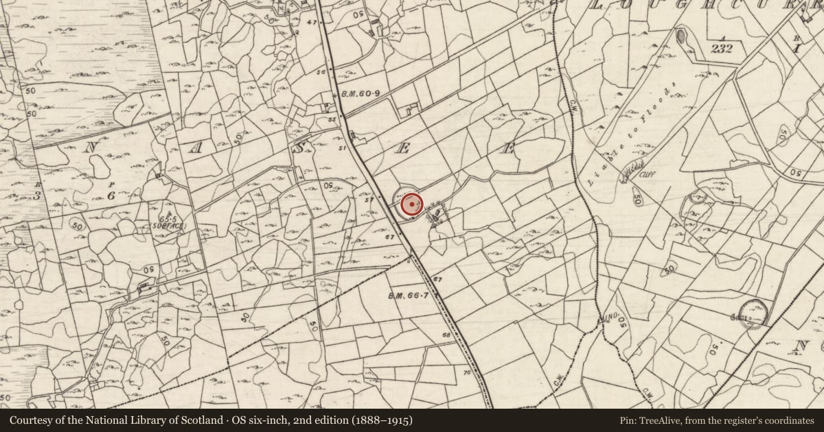 Ordnance Survey six-inch map, 2nd edition (1888–1915) covering the location of Ringfort - cashel, Cloonnasee, County Galway, with a pin at the register's coordinates