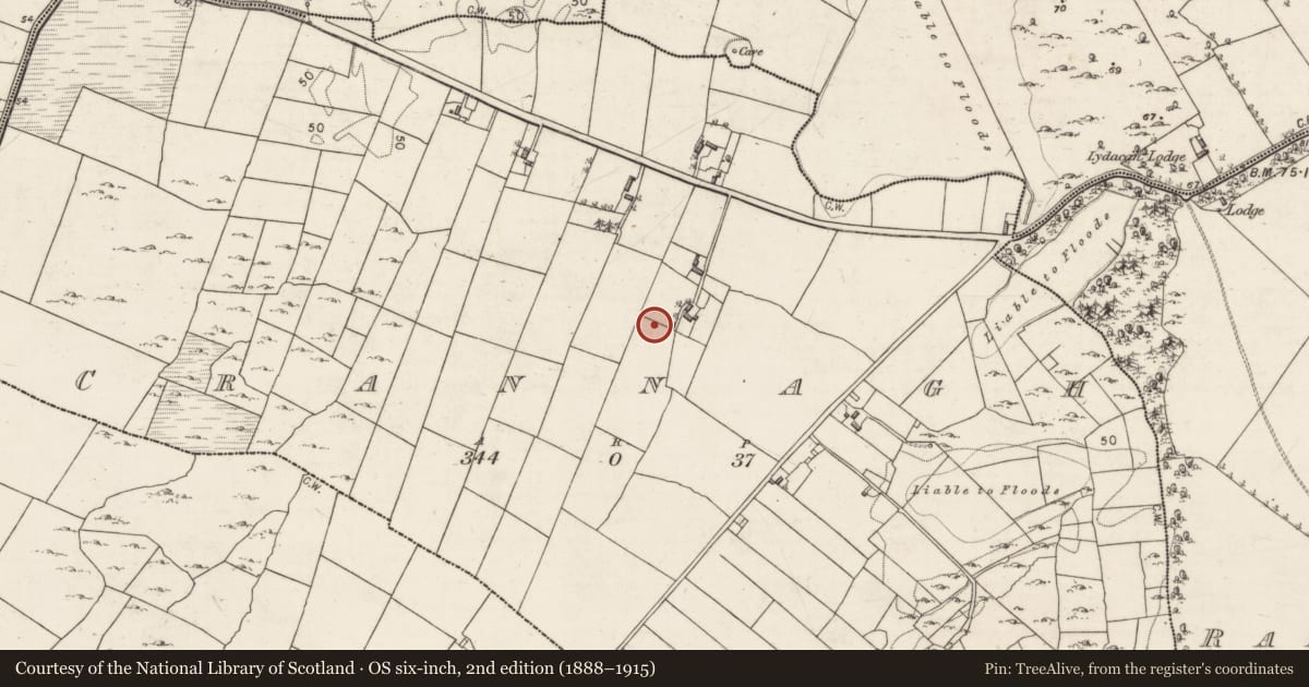 Ordnance Survey six-inch map, 2nd edition (1888–1915) covering the location of Ringfort - unclassified, Crannagh, County Galway, with a pin at the register's coordinates