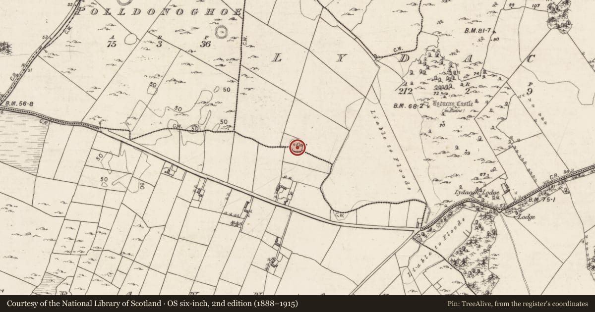 Ordnance Survey six-inch map, 2nd edition (1888–1915) covering the location of Ringfort - rath, Lydacan, County Galway, with a pin at the register's coordinates
