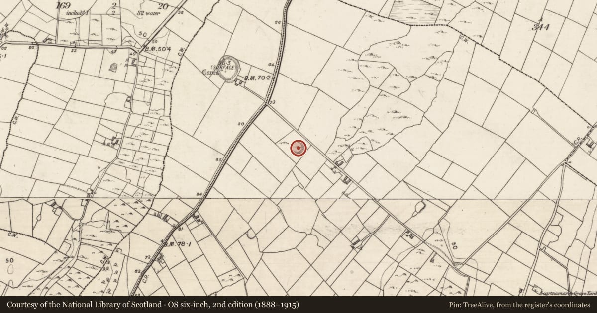 Ordnance Survey six-inch map, 2nd edition (1888–1915) covering the location of Ringfort - cashel, Crannagh, County Galway, with a pin at the register's coordinates