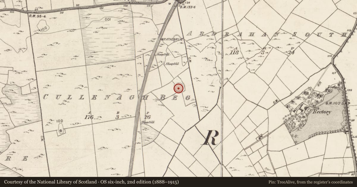 Ordnance Survey six-inch map, 2nd edition (1888–1915) covering the location of Ringfort - rath, Cullenagh Beg, County Galway, with a pin at the register's coordinates