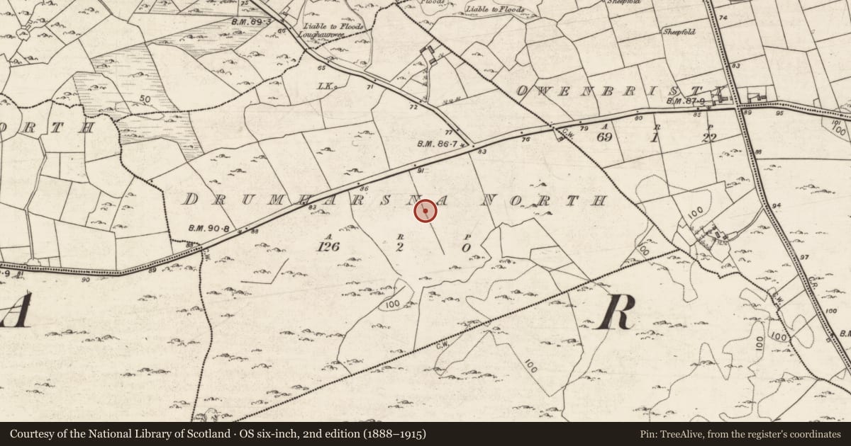 Ordnance Survey six-inch map, 2nd edition (1888–1915) covering the location of Ringfort - cashel, Drumharsna North, County Galway, with a pin at the register's coordinates