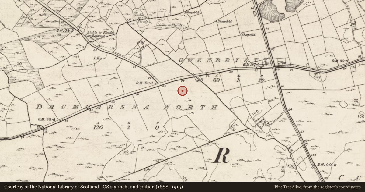 Ordnance Survey six-inch map, 2nd edition (1888–1915) covering the location of Ringfort - cashel, Drumharsna North, County Galway, with a pin at the register's coordinates