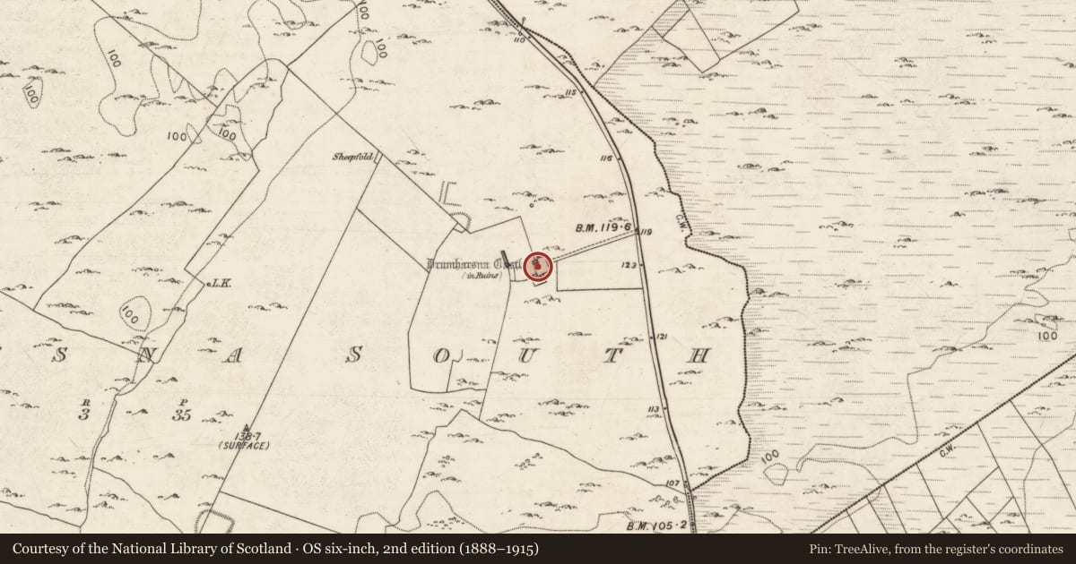 Ordnance Survey six-inch map, 2nd edition (1888–1915) covering the location of Castle - tower house, Drumharsna South, County Galway, with a pin at the register's coordinates