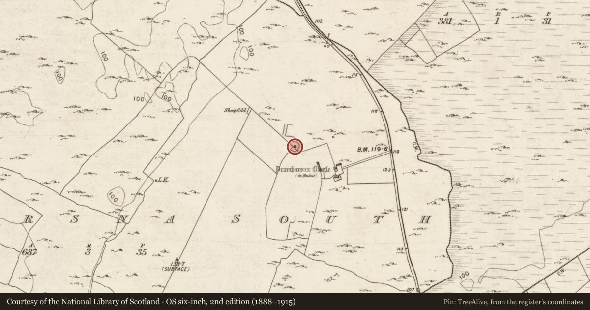 Ordnance Survey six-inch map, 2nd edition (1888–1915) covering the location of Ringfort - rath, Drumharsna South, County Galway, with a pin at the register's coordinates