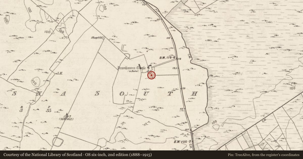 Ordnance Survey six-inch map, 2nd edition (1888–1915) covering the location of Enclosure, Drumharsna South, County Galway, with a pin at the register's coordinates