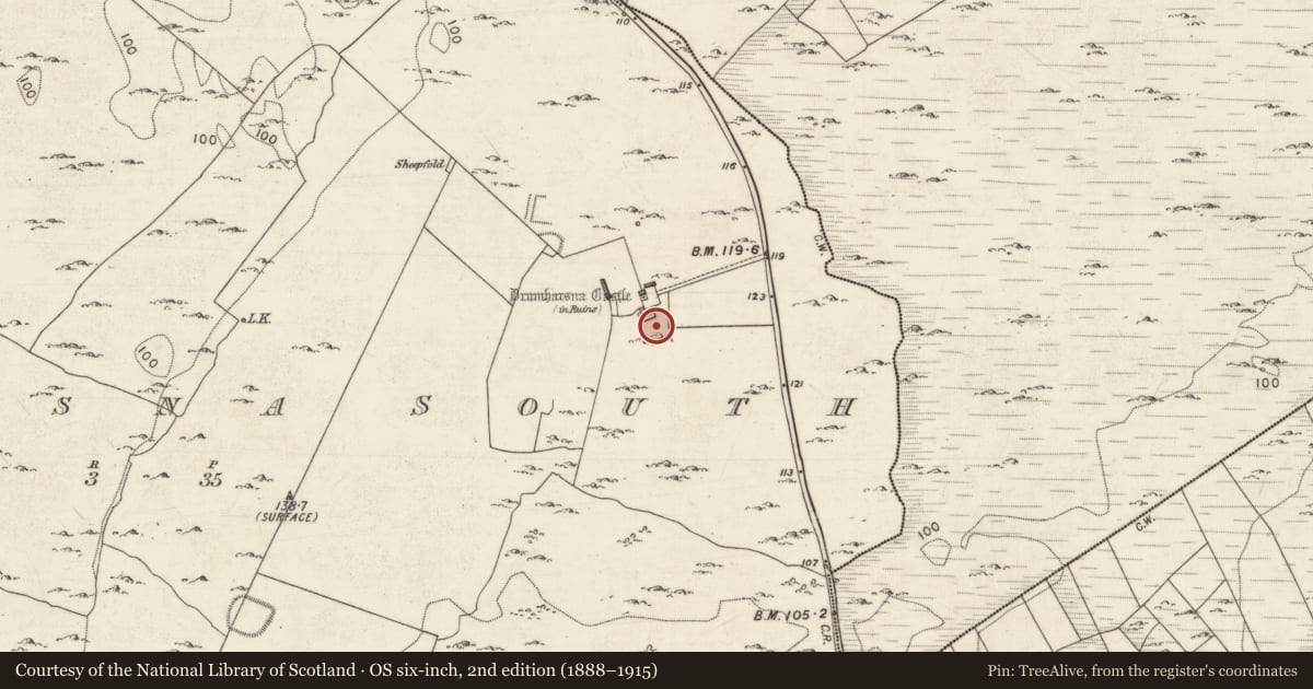 Ordnance Survey six-inch map, 2nd edition (1888–1915) covering the location of Structure, Drumharsna South, County Galway, with a pin at the register's coordinates