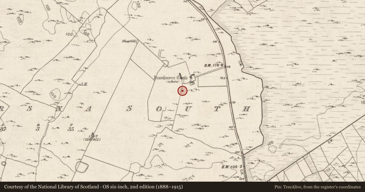 Ordnance Survey six-inch map, 2nd edition (1888–1915) covering the location of Structure, Drumharsna South, County Galway, with a pin at the register's coordinates