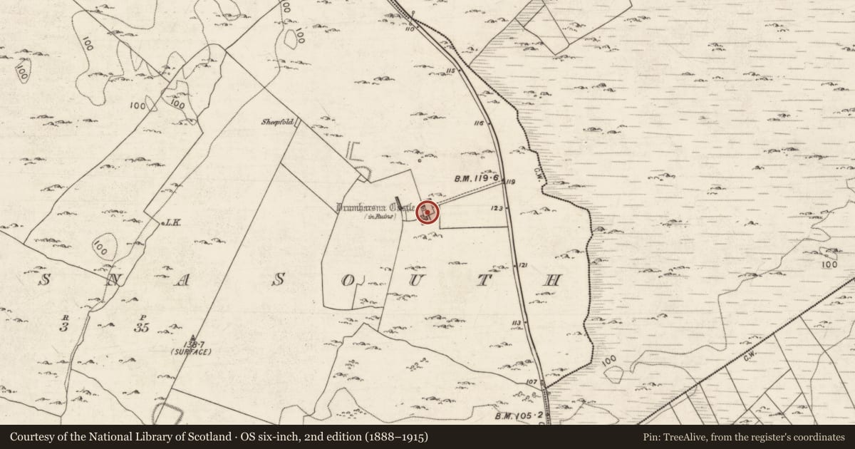 Ordnance Survey six-inch map, 2nd edition (1888–1915) covering the location of Bawn, Drumharsna South, County Galway, with a pin at the register's coordinates