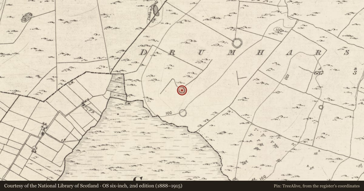 Ordnance Survey six-inch map, 2nd edition (1888–1915) covering the location of Ringfort - cashel, Drumharsna South, County Galway, with a pin at the register's coordinates