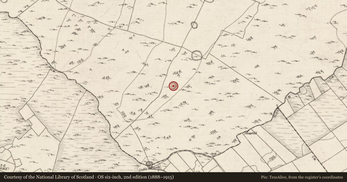 Ordnance Survey six-inch map, 2nd edition (1888–1915) covering the location of Ringfort - cashel, Drumharsna South, County Galway, with a pin at the register's coordinates
