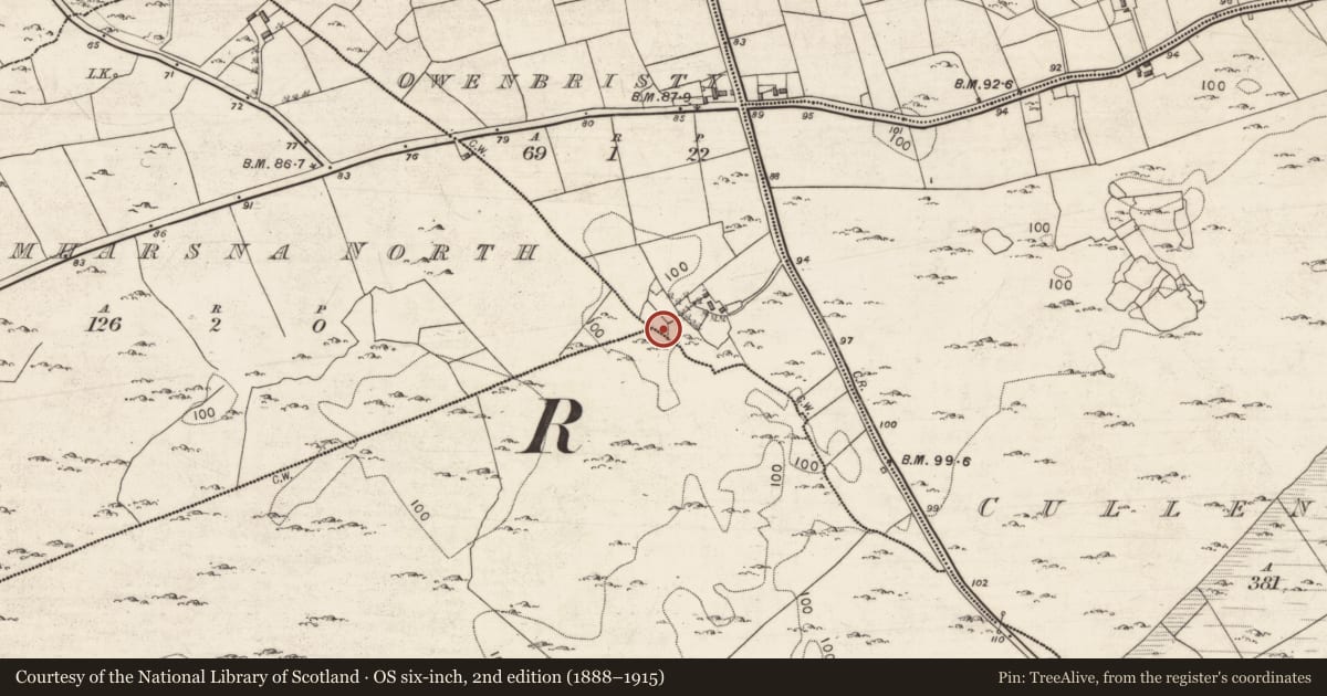Ordnance Survey six-inch map, 2nd edition (1888–1915) covering the location of Ringfort - cashel, Drumharsna South, Owenbristy, County Galway, with a pin at the register's coordinates