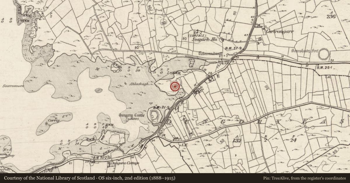 Ordnance Survey six-inch map, 2nd edition (1888–1915) covering the location of Ringfort - rath, Dungory West, County Galway, with a pin at the register's coordinates