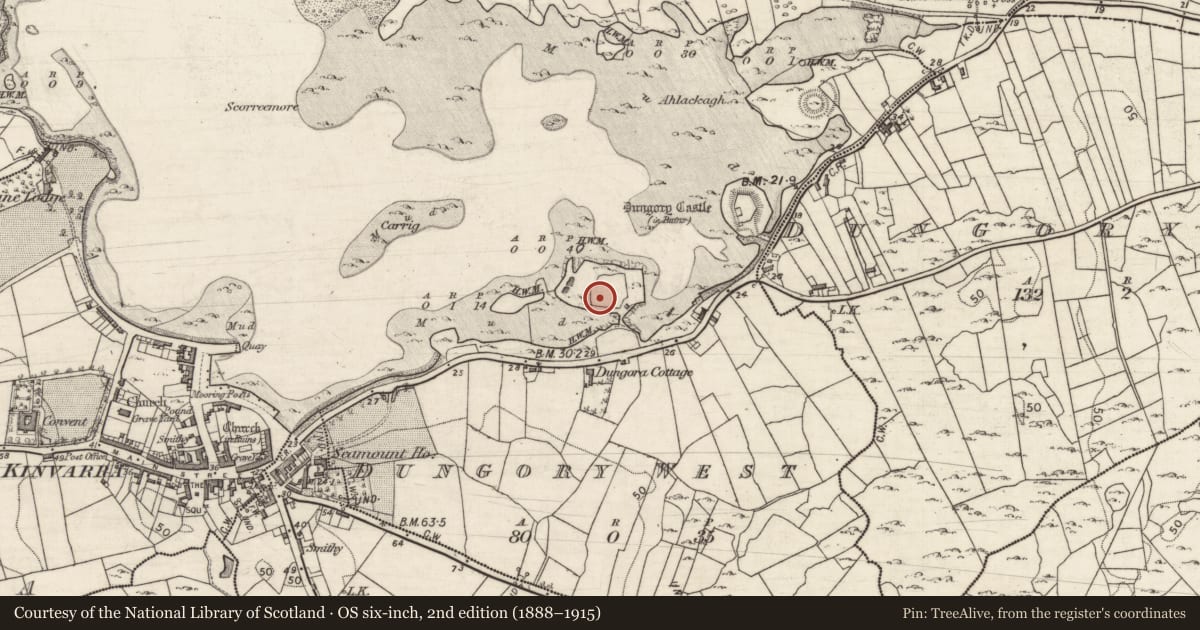 Ordnance Survey six-inch map, 2nd edition (1888–1915) covering the location of Castle - tower house, Dungory West, County Galway, with a pin at the register's coordinates