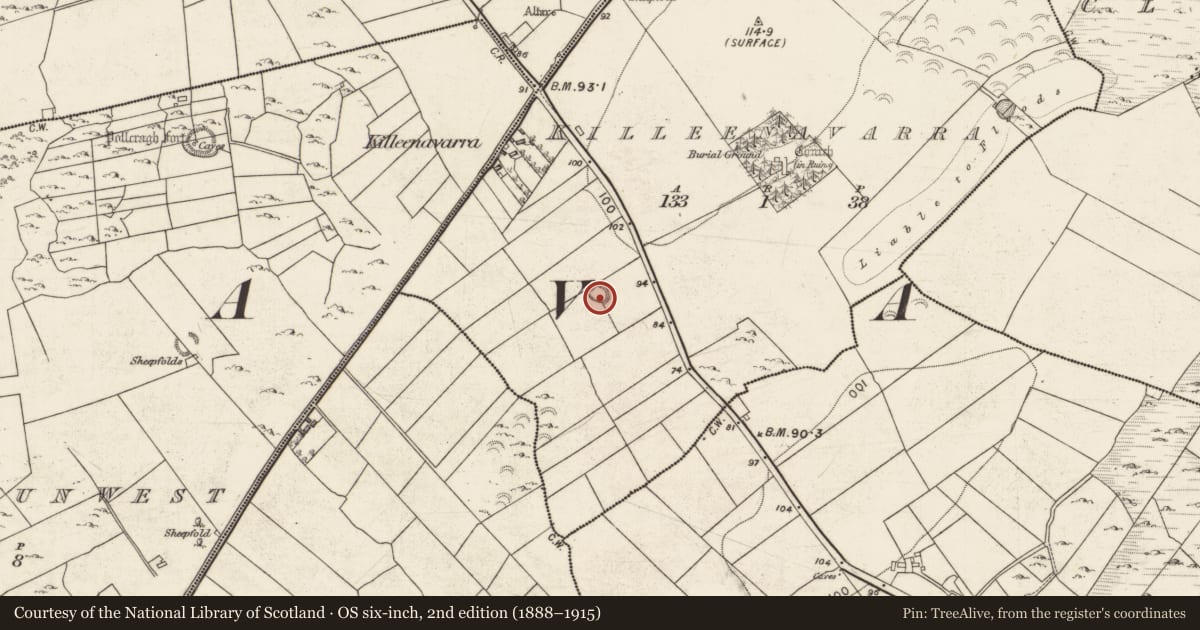 Ordnance Survey six-inch map, 2nd edition (1888–1915) covering the location of Ringfort - rath, Killeenavarra, County Galway, with a pin at the register's coordinates
