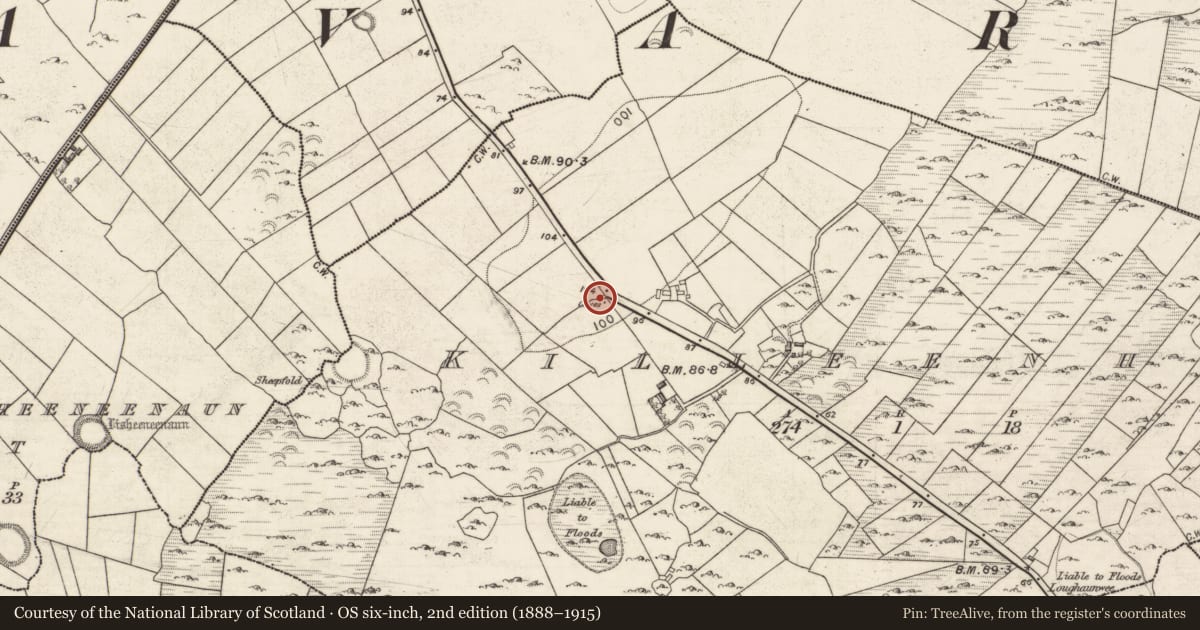 Ordnance Survey six-inch map, 2nd edition (1888–1915) covering the location of Ringfort - rath, Killeenhugh, County Galway, with a pin at the register's coordinates
