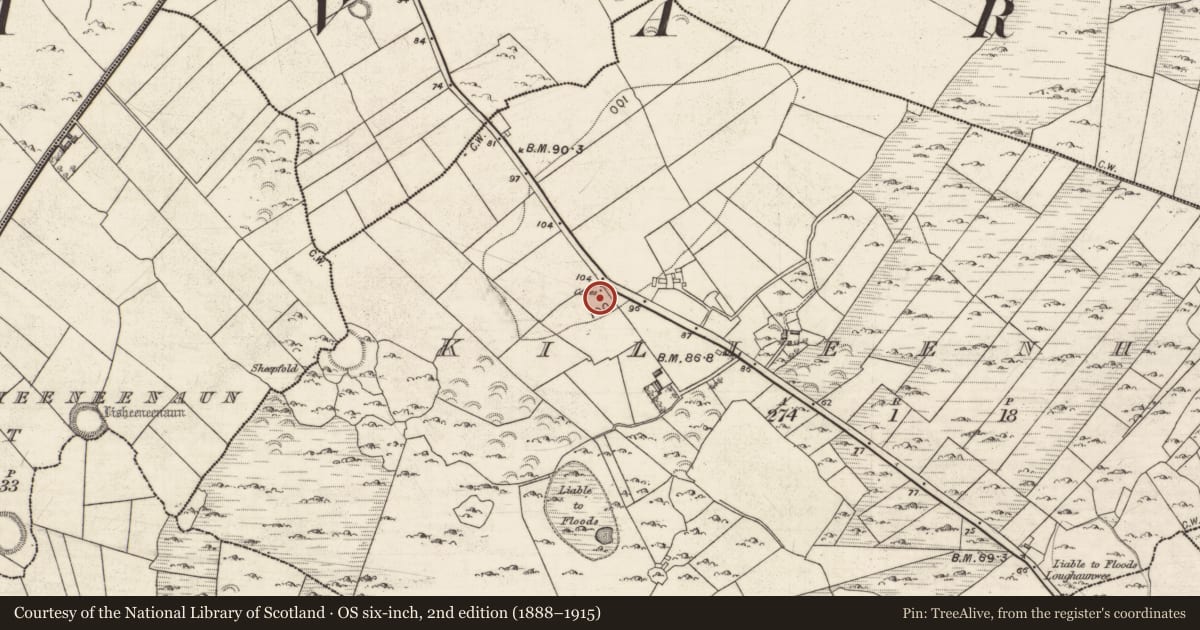 Ordnance Survey six-inch map, 2nd edition (1888–1915) covering the location of Souterrain, Killeenhugh, County Galway, with a pin at the register's coordinates