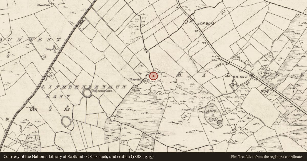 Ordnance Survey six-inch map, 2nd edition (1888–1915) covering the location of Ringfort - cashel, Killeenhugh, Lisheeneenaun East, County Galway, with a pin at the register's coordinates