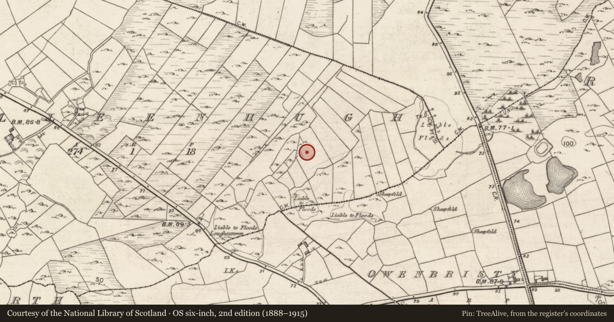 Ordnance Survey six-inch map, 2nd edition (1888–1915) covering the location of Ringfort - cashel, Killeenhugh, County Galway, with a pin at the register's coordinates