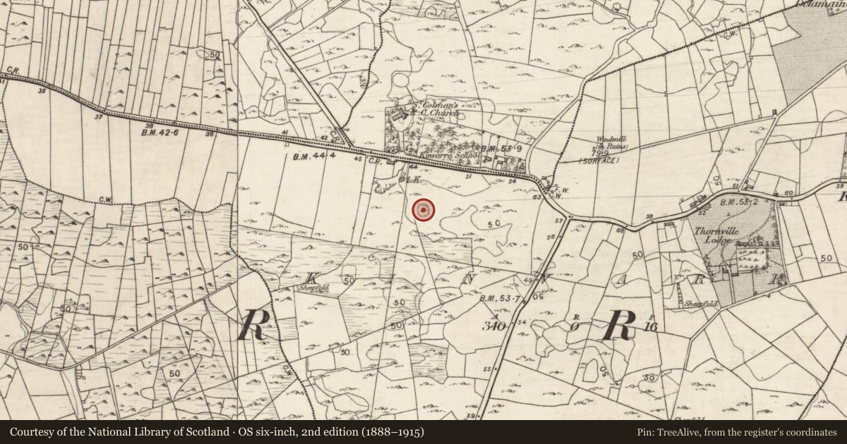 Ordnance Survey six-inch map, 2nd edition (1888–1915) covering the location of Ringfort - cashel, Kinvarra, County Galway, with a pin at the register's coordinates
