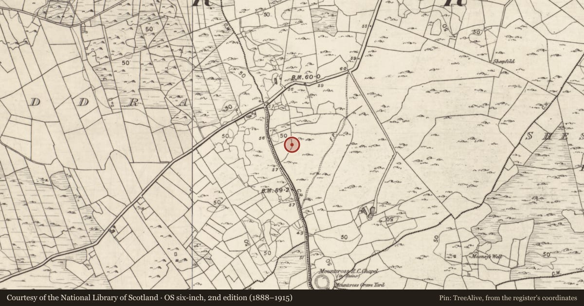 Ordnance Survey six-inch map, 2nd edition (1888–1915) covering the location of Kiln - lime, Kinvarra, County Galway, with a pin at the register's coordinates