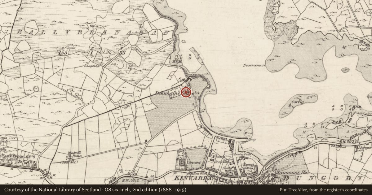 Ordnance Survey six-inch map, 2nd edition (1888–1915) covering the location of Country house, Kinvarra, County Galway, with a pin at the register's coordinates