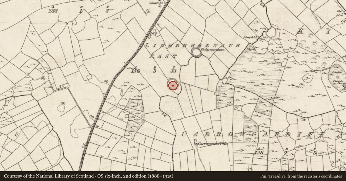 Ordnance Survey six-inch map, 2nd edition (1888–1915) covering the location of Ringfort - rath, Lisheeneenaun East, County Galway, with a pin at the register's coordinates