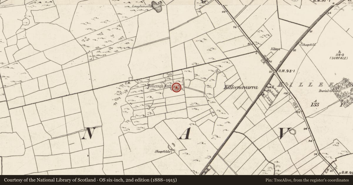 Ordnance Survey six-inch map, 2nd edition (1888–1915) covering the location of Ringfort - cashel, Lisheeneenaun West, County Galway, with a pin at the register's coordinates