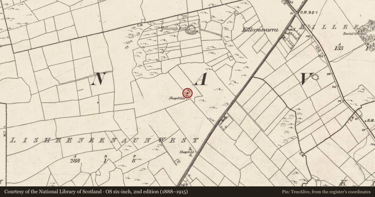 Ordnance Survey six-inch map, 2nd edition (1888–1915) covering the location of Ringfort - cashel, Lisheeneenaun West, County Galway, with a pin at the register's coordinates