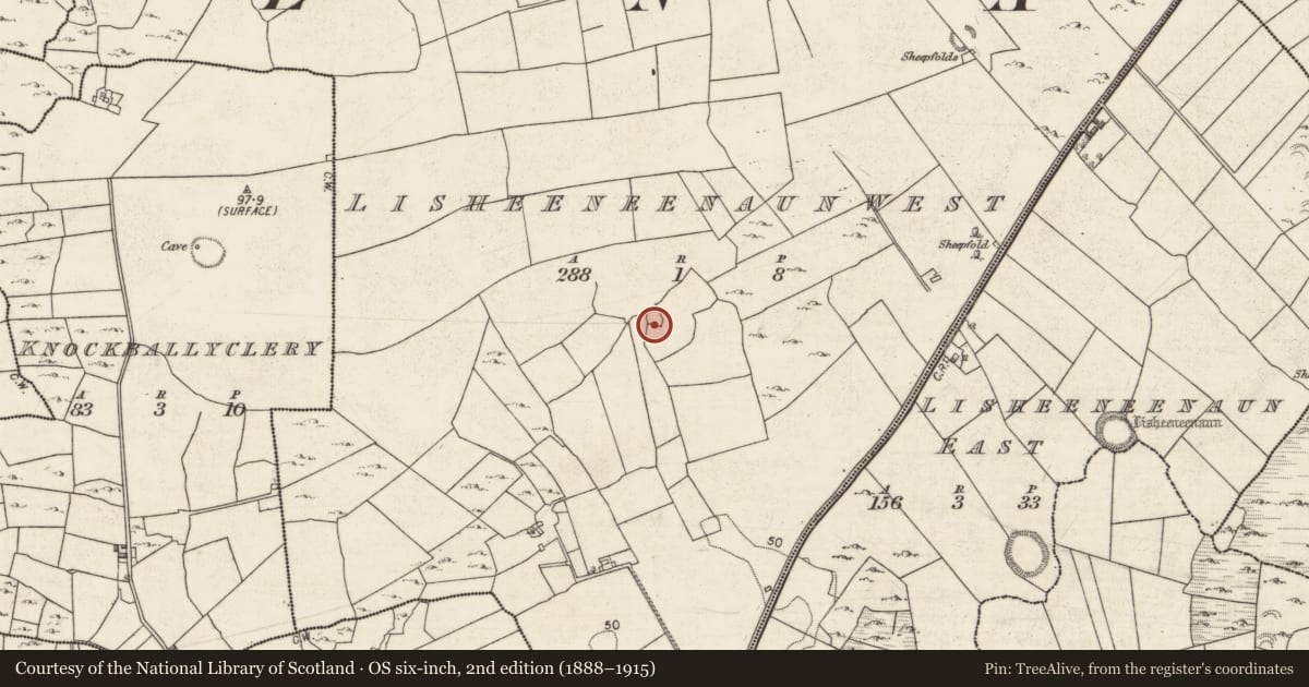 Ordnance Survey six-inch map, 2nd edition (1888–1915) covering the location of Ringfort - unclassified, Lisheeneenaun West, County Galway, with a pin at the register's coordinates