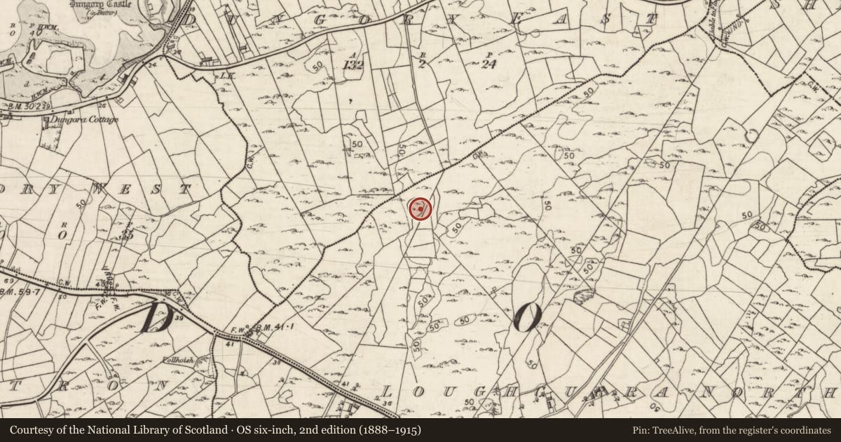 Ordnance Survey six-inch map, 2nd edition (1888–1915) covering the location of Ringfort - cashel, Loughcurra North, County Galway, with a pin at the register's coordinates