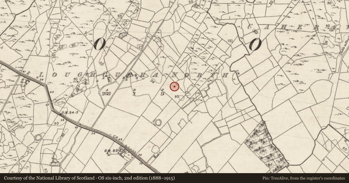 Ordnance Survey six-inch map, 2nd edition (1888–1915) covering the location of Ringfort - cashel, Loughcurra North, County Galway, with a pin at the register's coordinates