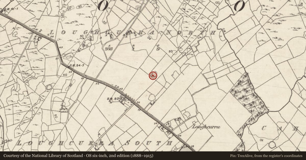 Ordnance Survey six-inch map, 2nd edition (1888–1915) covering the location of Ringfort - unclassified, Loughcurra North, County Galway, with a pin at the register's coordinates
