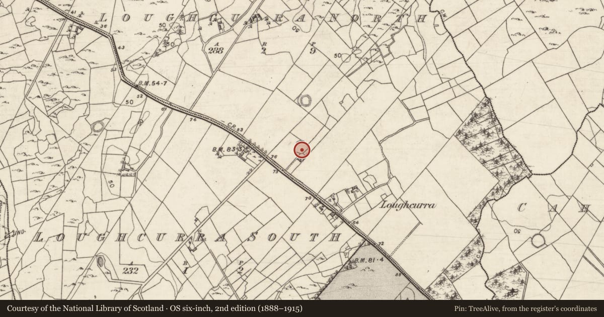 Ordnance Survey six-inch map, 2nd edition (1888–1915) covering the location of Ringfort - cashel, Loughcurra North, County Galway, with a pin at the register's coordinates