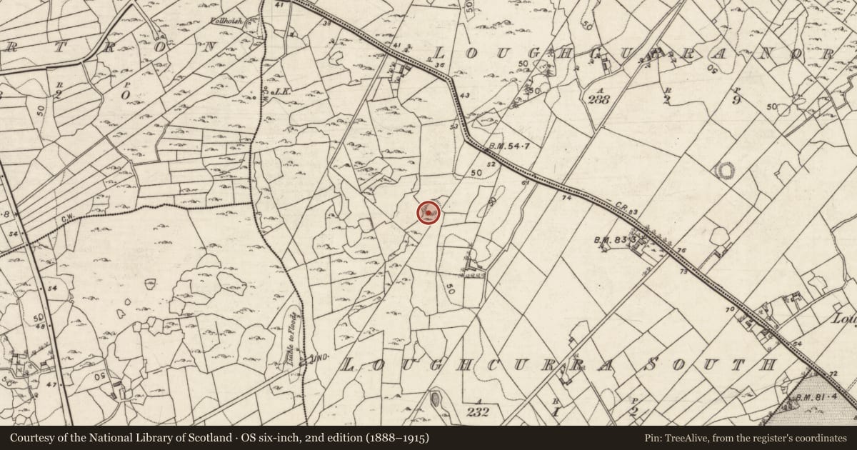 Ordnance Survey six-inch map, 2nd edition (1888–1915) covering the location of Quarry, Loughcurra South, County Galway, with a pin at the register's coordinates