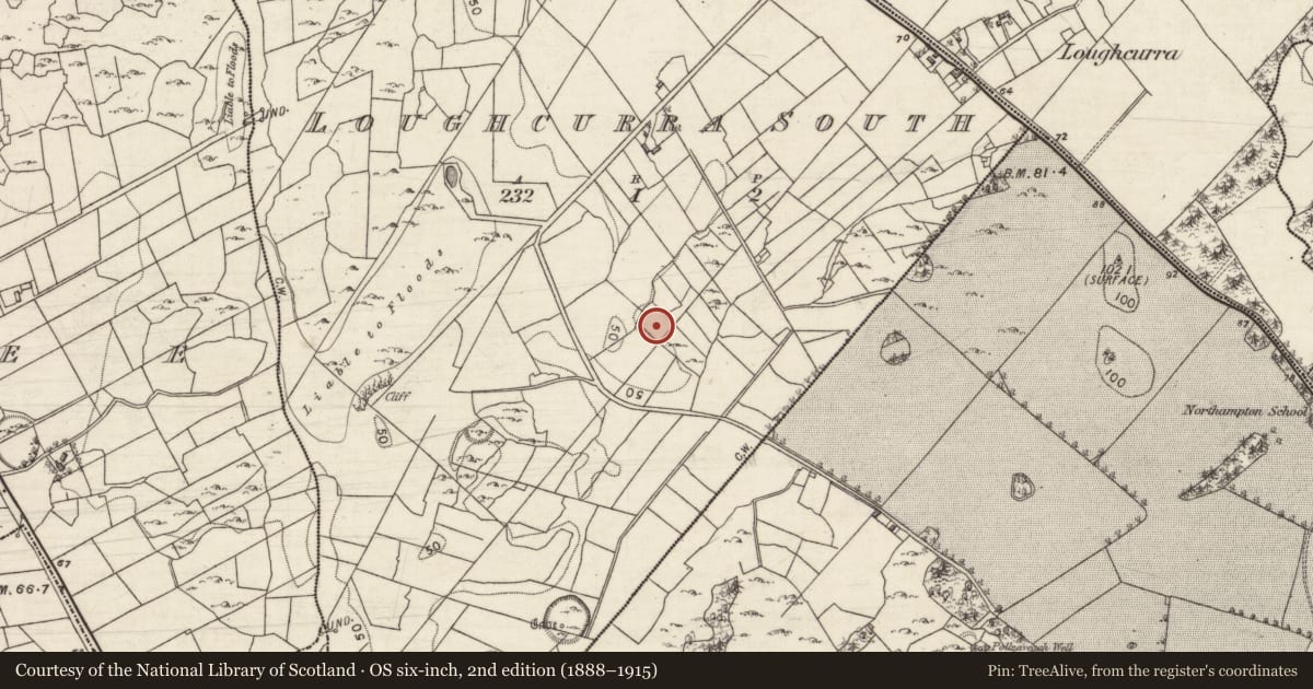 Ordnance Survey six-inch map, 2nd edition (1888–1915) covering the location of Ringfort - cashel, Loughcurra South, County Galway, with a pin at the register's coordinates
