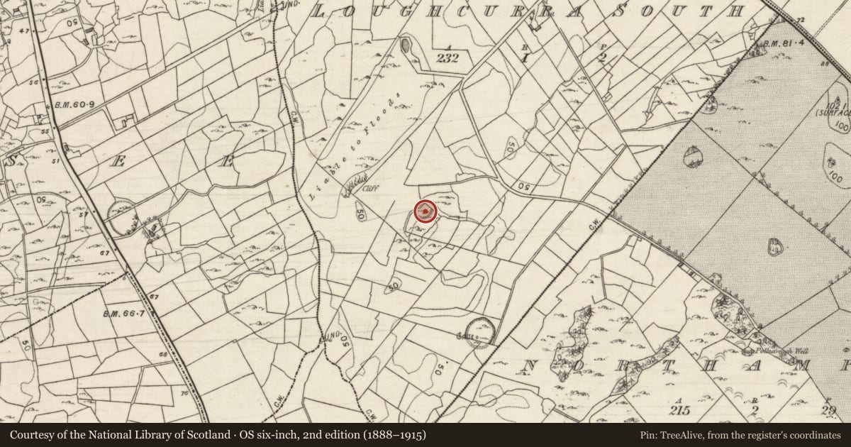 Ordnance Survey six-inch map, 2nd edition (1888–1915) covering the location of Ringfort - cashel, Loughcurra South, County Galway, with a pin at the register's coordinates