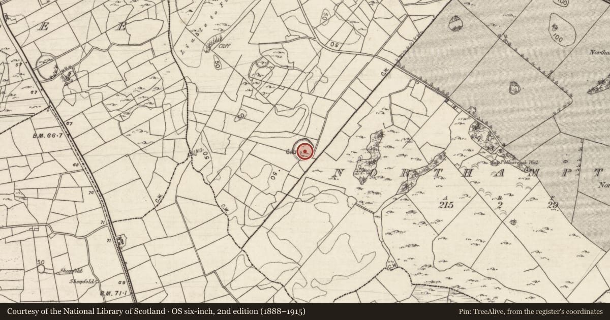 Ordnance Survey six-inch map, 2nd edition (1888–1915) covering the location of Ringfort - cashel, Loughcurra South, County Galway, with a pin at the register's coordinates