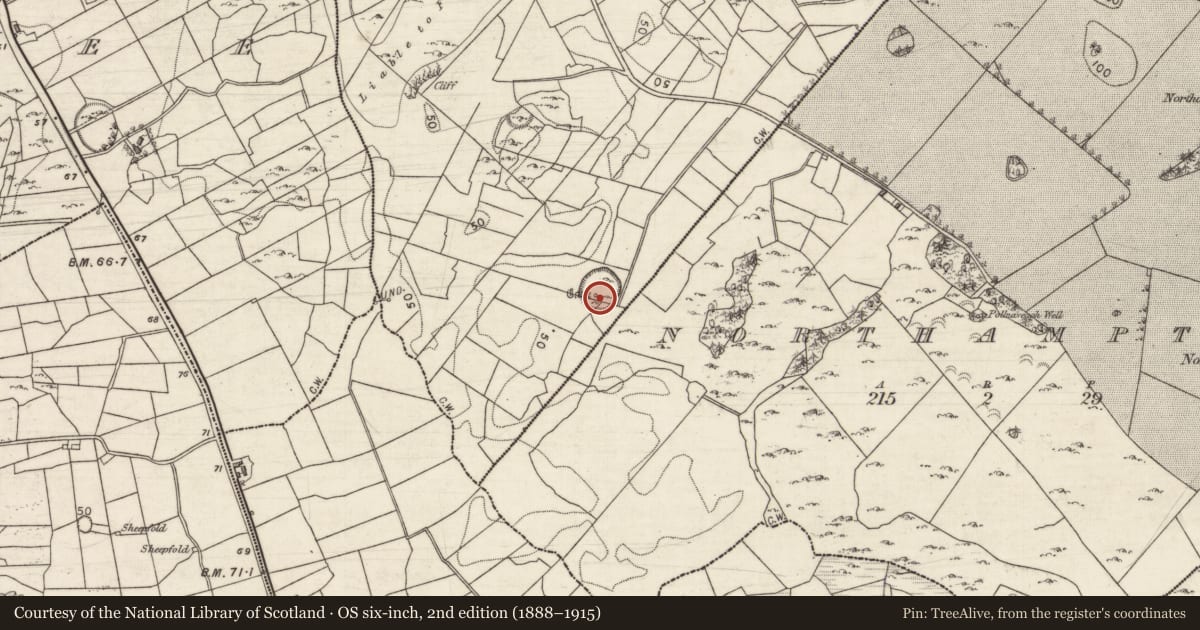 Ordnance Survey six-inch map, 2nd edition (1888–1915) covering the location of Souterrain, Loughcurra South, County Galway, with a pin at the register's coordinates