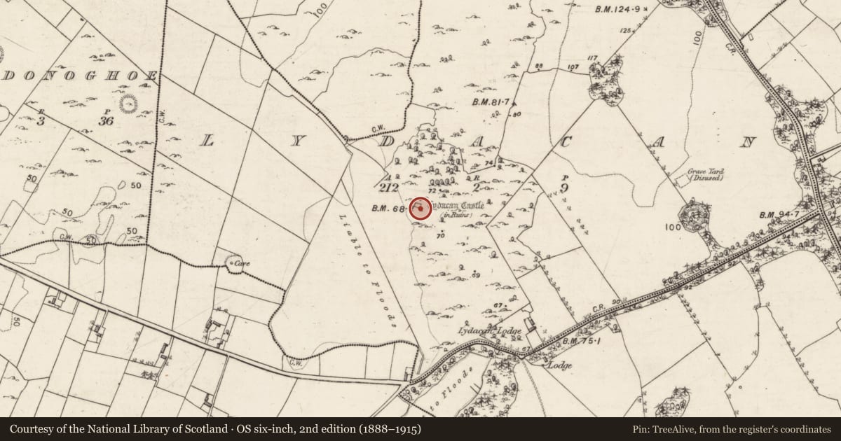 Ordnance Survey six-inch map, 2nd edition (1888–1915) covering the location of Castle - tower house, Lydacan, County Galway, with a pin at the register's coordinates
