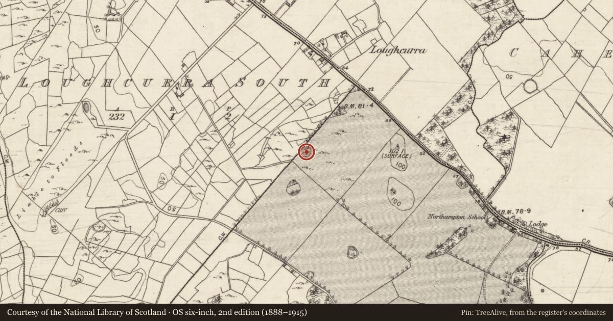 Ordnance Survey six-inch map, 2nd edition (1888–1915) covering the location of Designed landscape - folly, Northampton, County Galway, with a pin at the register's coordinates
