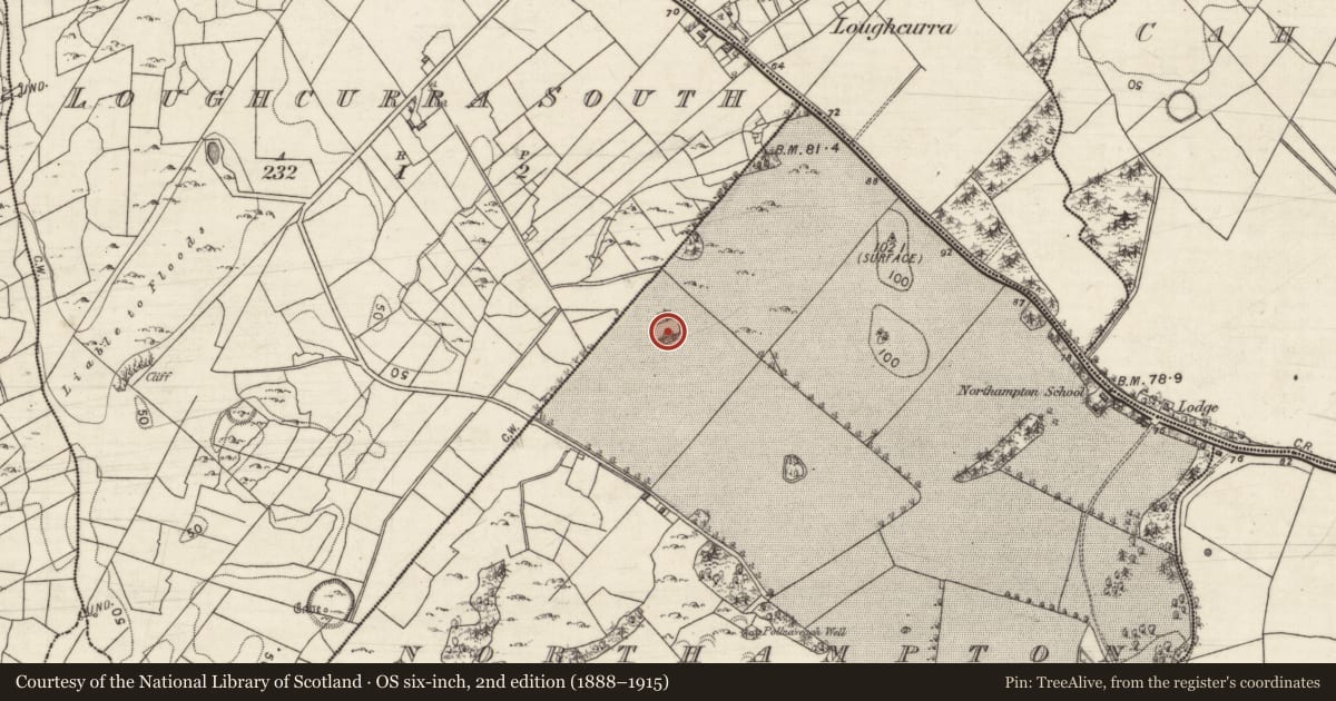 Ordnance Survey six-inch map, 2nd edition (1888–1915) covering the location of Ringfort - cashel, Northampton, County Galway, with a pin at the register's coordinates